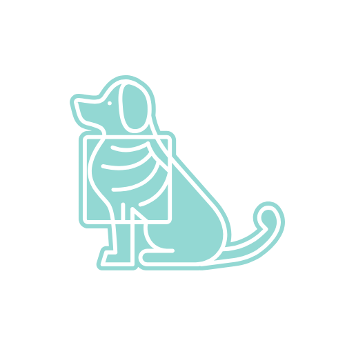 pet diagnostics icon