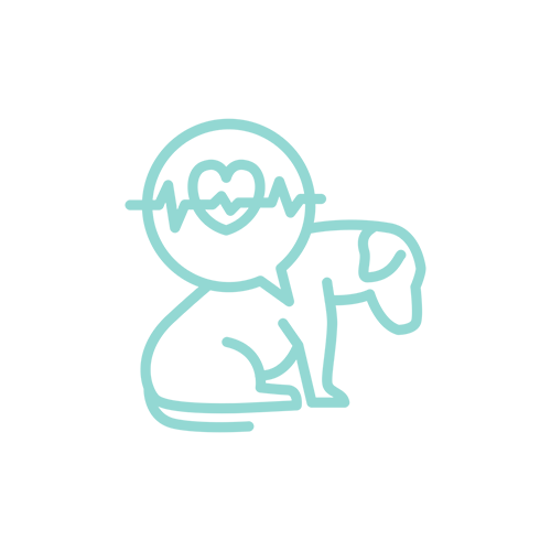 pet urgent care icon